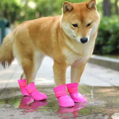 Caussures pour chien | Sweety-Boots™️
