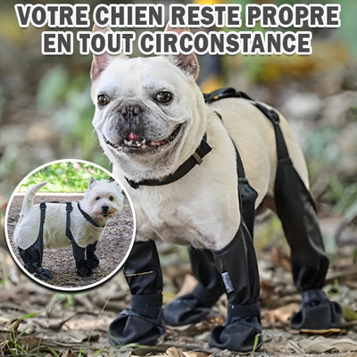 Chaussures-pour-chien-Doggy-Waders™️-Propre