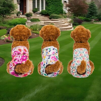 Couche-pour-chien-Maintien-Exquis™-Trio