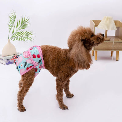 Culotte-pour-chien-Confort-Exquisâą-ElĂ©gant