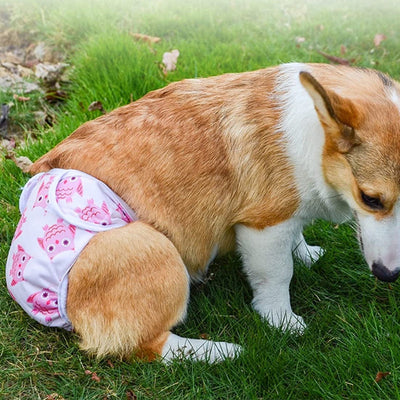 Culotte-pour-chien-Confort-Exquisâą-Paisible