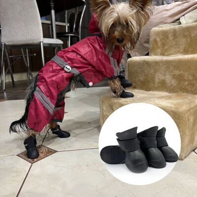 Caussures pour chien | Sweety-Boots™️