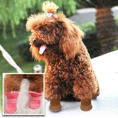 Chaussures-chien-Warmy-Boots™️-Chic