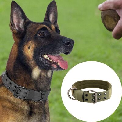 Collier-chien-Militarys™-Vert