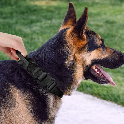 Collier-chien-Warrior-Style™-Poignée