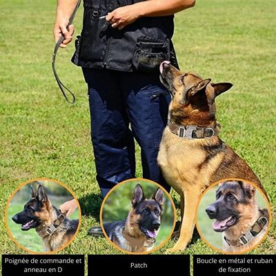 Collier-chien-Warrior-Style™-Identification