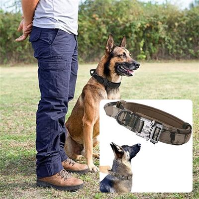 Collier-chien-Warrior-Style™Camoflage