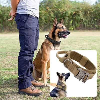 Collier-chien-Warrior-Style™-Kaki