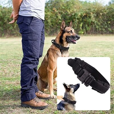 Collier-chien-Warrior-Style™-Noir