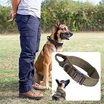 Collier-chien-Warrior-Style™-Vert