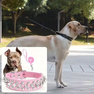 Collier-pour-chien-Rocky™Rose