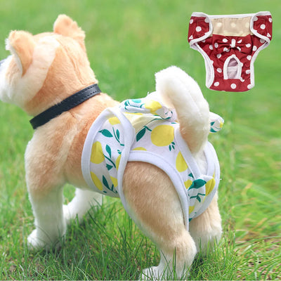 Couche-pour-chien-Physio-Panty™-Présentation