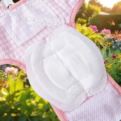 Couche-pour-chien-Protège-Culotte-Appliquée2