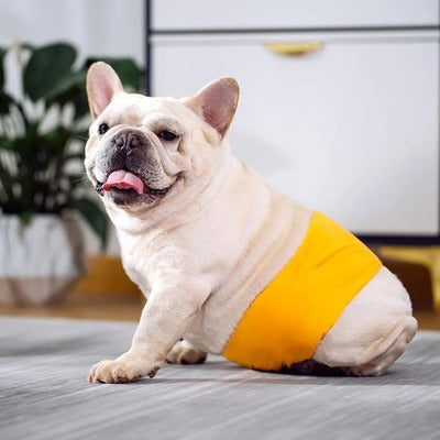 Culotte-pour-chien-Pasha-Pantie™️-Gros