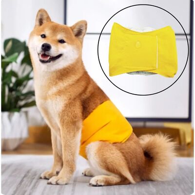 Culotte-pour-chien-Pasha-Pantie™️-Jaune
