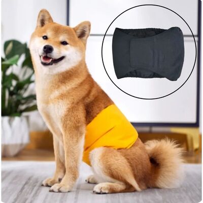 Culotte-pour-chien-Pasha-Pantie™️-Noir
