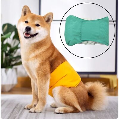 Culotte-pour-chien-Pasha-Pantie™️-Vert