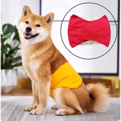 Culotte-pour-chien-Pasha-Pantie™️-Rouge