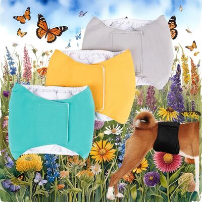 Culotte-pour-chien-Pasha-Pantie™️-Trio
