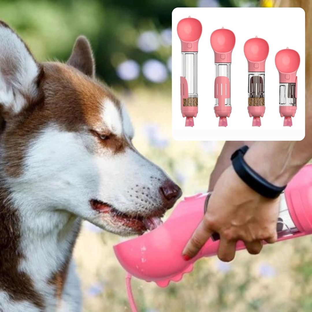 Gourde-pour-chien-Ecolofriendy-Gourd™-Rose