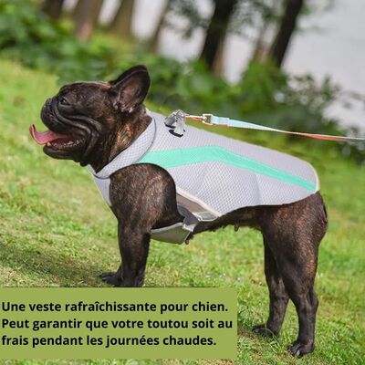 Vêtement-pour-chien-Freshness-Vest™️-Profil