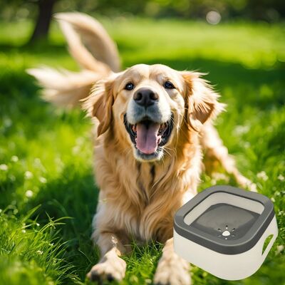 Gamelle-chien -Ati-Splash™-Gris