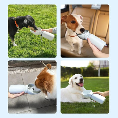 Gourdes-pour-chiens-Souply™-Mosaïques
