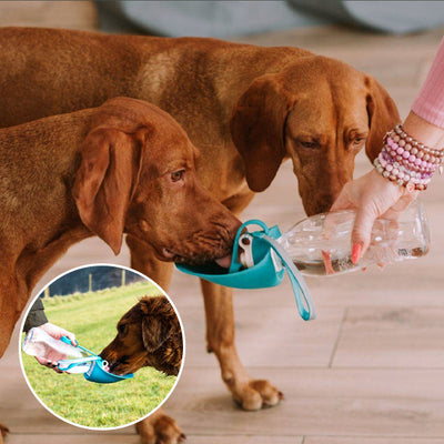 Gourdes-pour-chiens-Unive-Adapt™-Duo