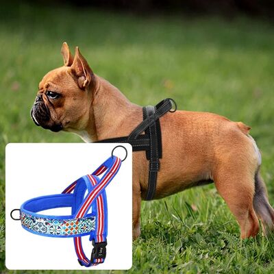 Harnais-anti-traction-Magic-Softy™-Bleu