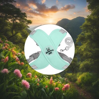 Harnais-chien-Beauty-Pet™-Vert