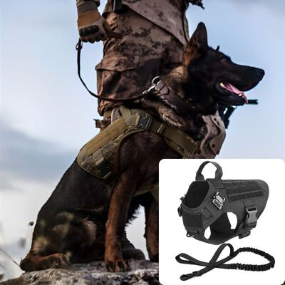 Harnais-chien-Cani-Rando™-Noir