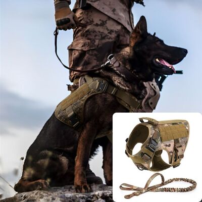 Harnais-chien-Cani-Rando™Camouflage