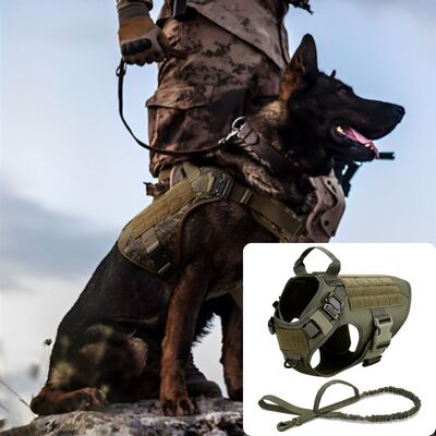 Harnais-chien-Cani-Rando™-Vert