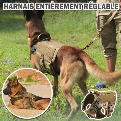 Harnais-chien-Cani-Rando™-Réglable