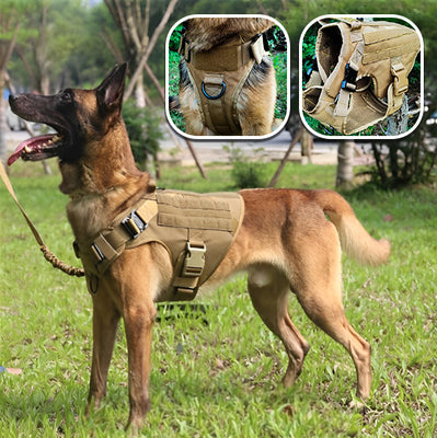 Harnais-chien-Cani-Rando™-au-Garrot