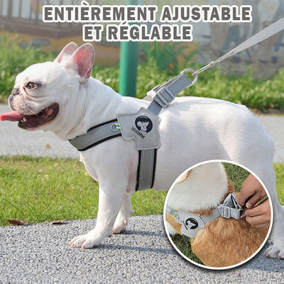 Harnais chien | Cool-Comfort™