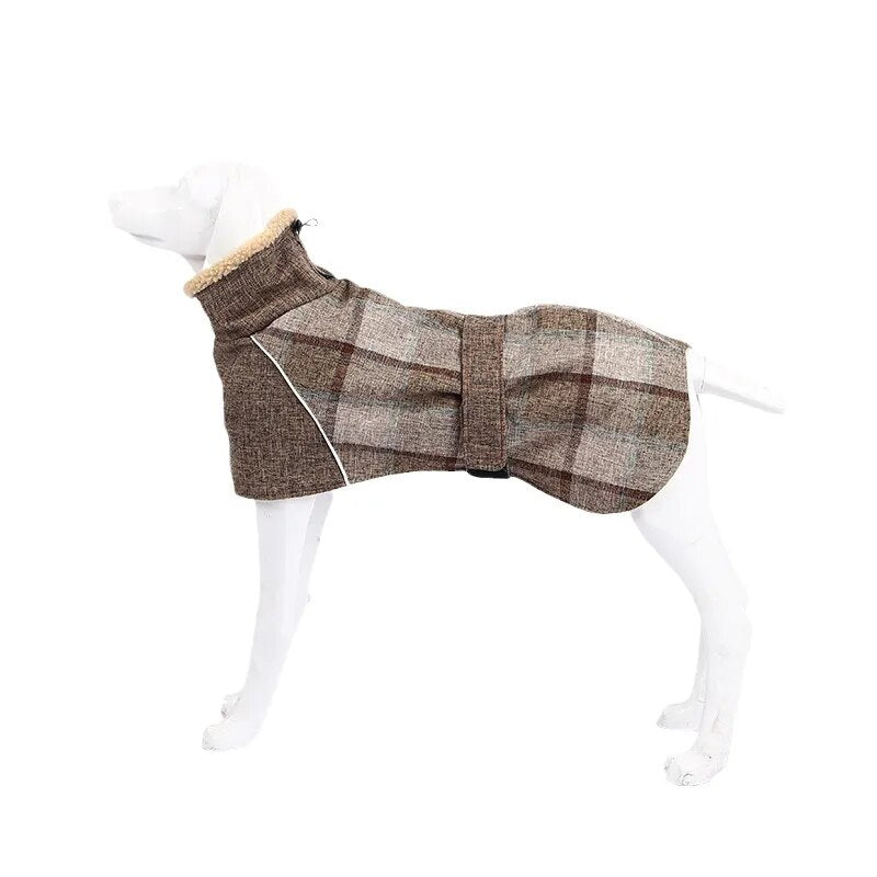 Manteau-chien-Kilty-Pett™-Café-léger