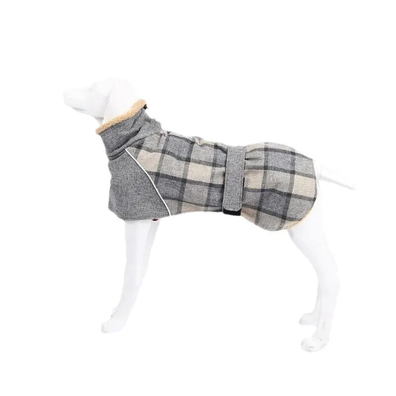 Manteau-chien-Kilty-Pett™-Gris