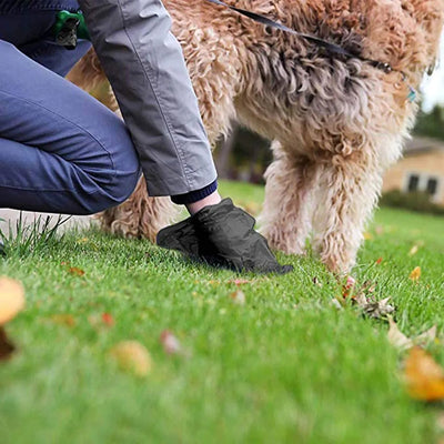 Hygiène-Chien-Poop-Bag™️-Pratique