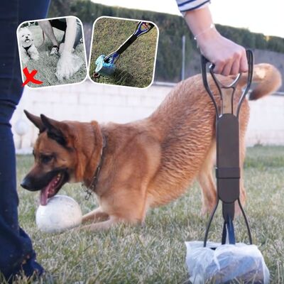 Hygiène-chien-Pince-Crottes™️-Avant-Après