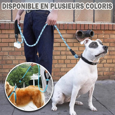 Laisse pour chien | Secure-Comfort™
