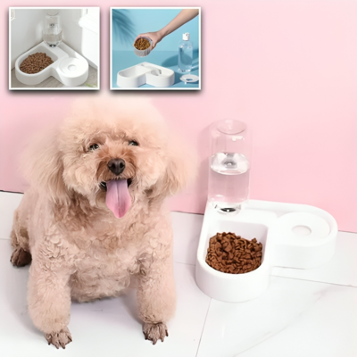 La-Gamelle-Cœur-Enjoué™-Toutou