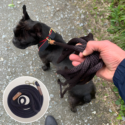 Laisse-Masterful™-Chiot