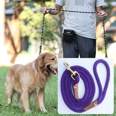 Laisse-Masterful™-Violet