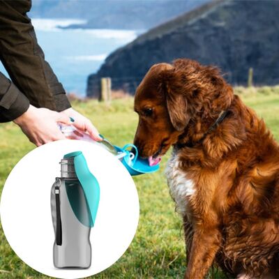 Gourdes-pour-chiens-Unive-Adapt™-Vert