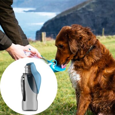Gourdes-pour-chiens-Unive-Adapt™-Bleu