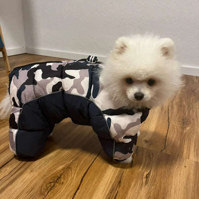 Manteau-Chien-Gros-Doudoune™-Carrousel-1