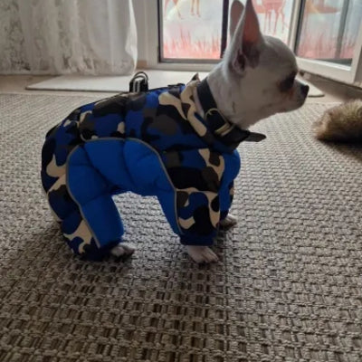 Manteau-Chien-Gros-Doudoune™-Carrousel-4
