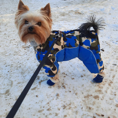 Manteau-Chien-Gros-Doudoune™-Navy