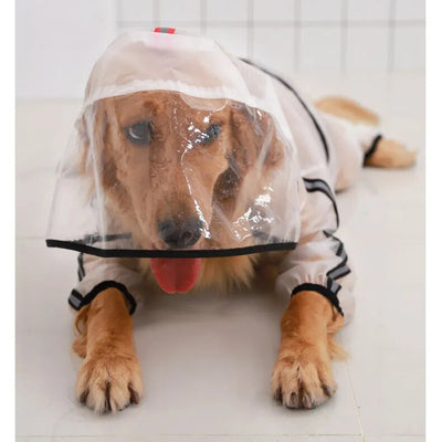 Manteau-chien-Full-Protect™-Variante-Visibilité